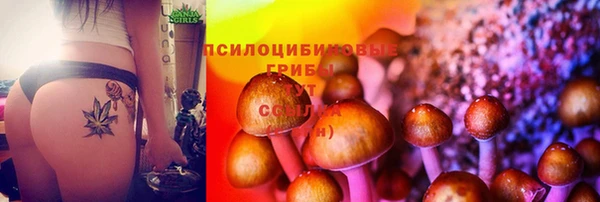 марки nbome Баксан